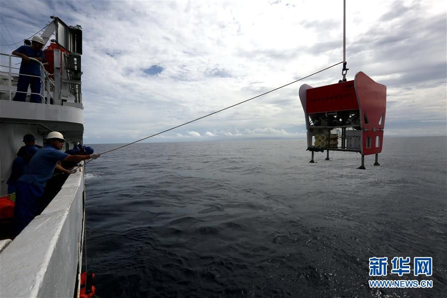 我国科考队员成功采集8000米深海钩虾